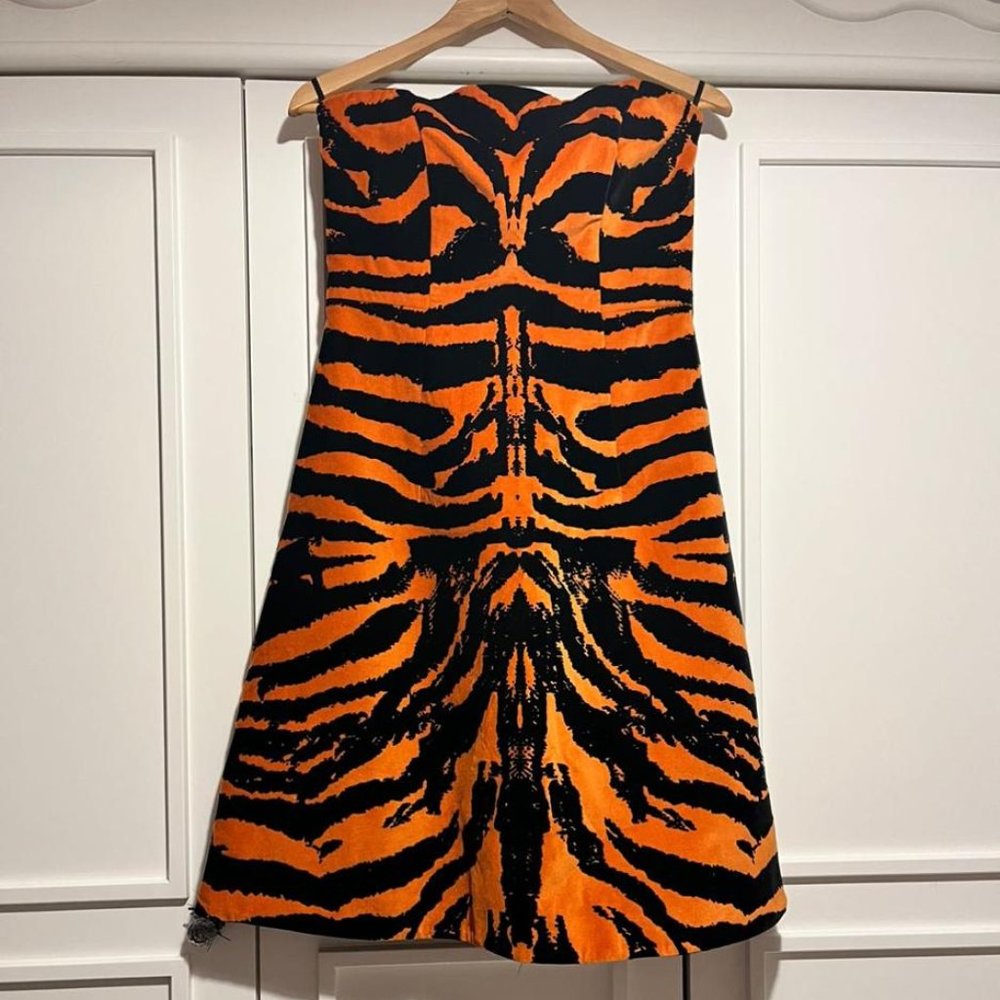 Women Mini Dress Great Model